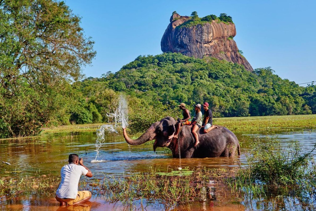 Toeristen maken ritje op olifant