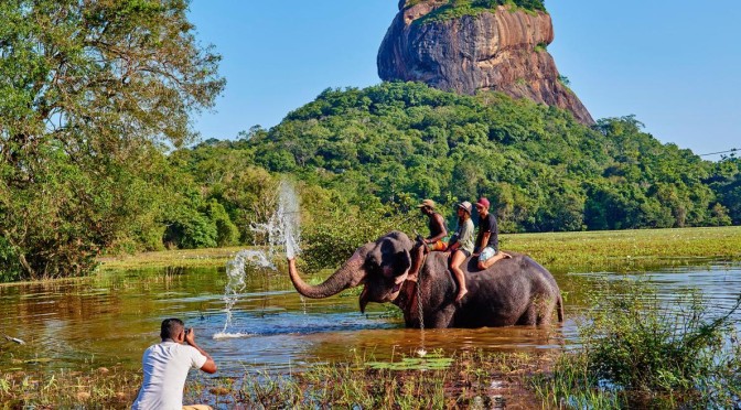 Toeristen maken ritje op olifant